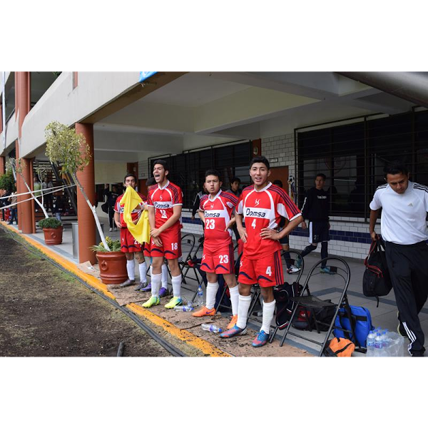 Imagen 87 Nacex foto