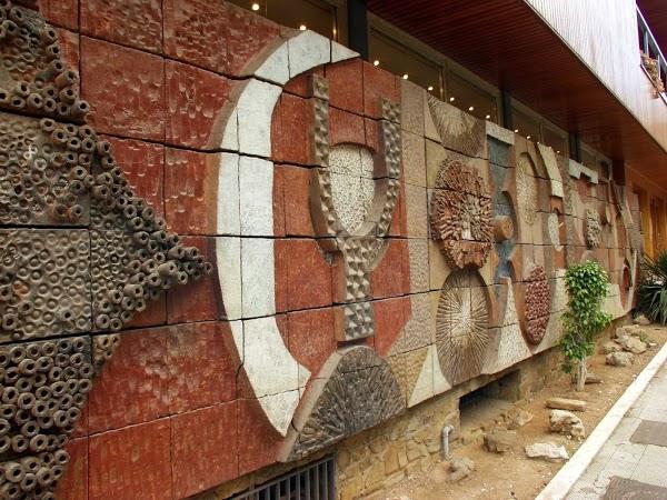 Imagen 17 Soluciones Cascabel S.L. foto