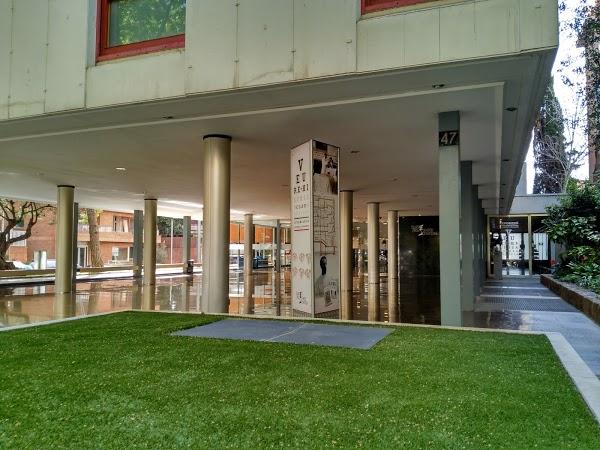 Imagen 32 Soluciones Cascabel S.L. foto