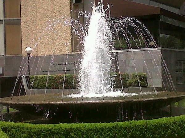 Imagen 101 Bar Feliz foto