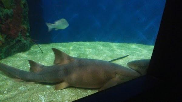 Imagen 14 Bar Feliz foto