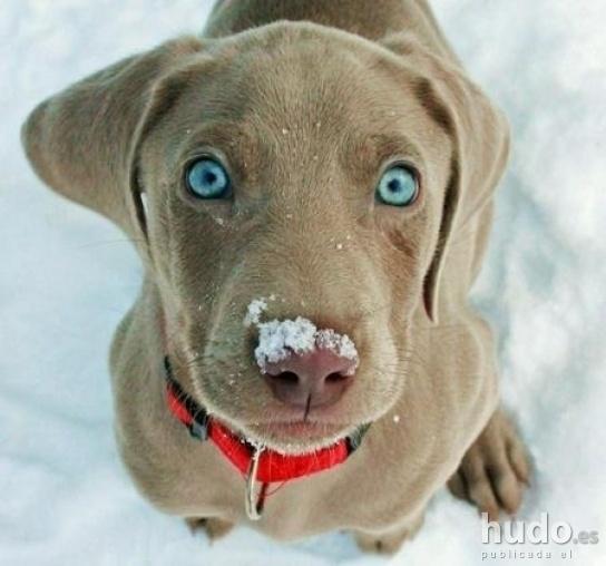 Imagen 1 ARGOT GRÀFIC foto