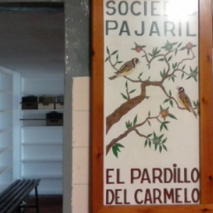 Imagen 52 Bar Los Noveles foto