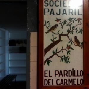 Imagen 71 Bar Los Noveles foto
