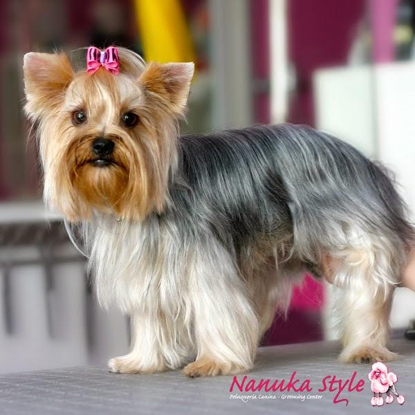 Imagen 2 cafe renacimiento foto