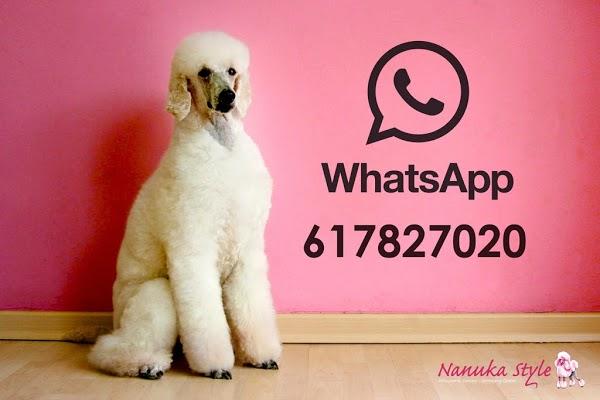 Imagen 12 cafe renacimiento foto