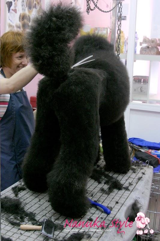 Imagen 17 cafe renacimiento foto