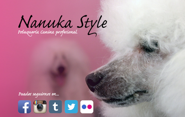 Imagen 18 cafe renacimiento foto