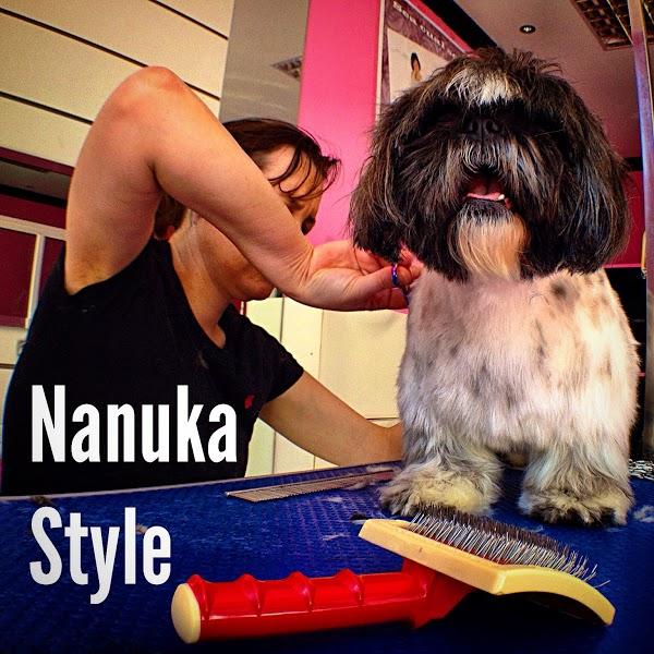 Imagen 27 cafe renacimiento foto