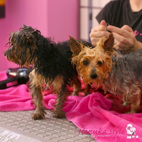 Imagen 28 cafe renacimiento foto