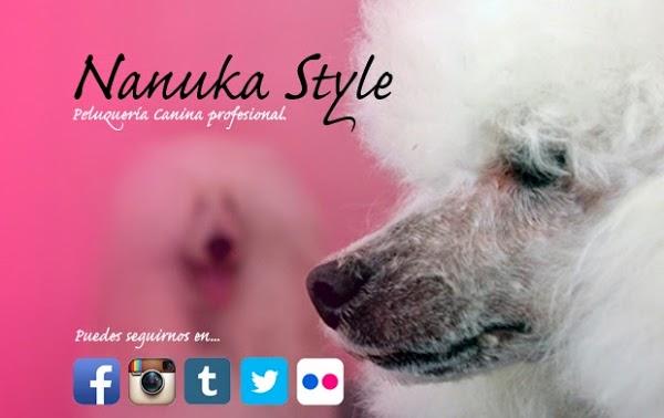 Imagen 29 cafe renacimiento foto