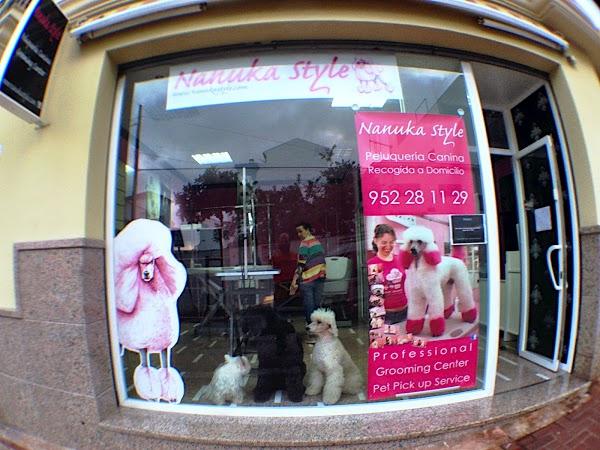 Imagen 34 cafe renacimiento foto