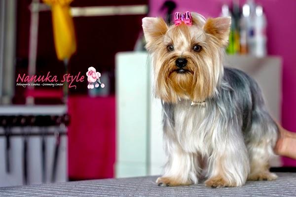 Imagen 5 cafe renacimiento foto