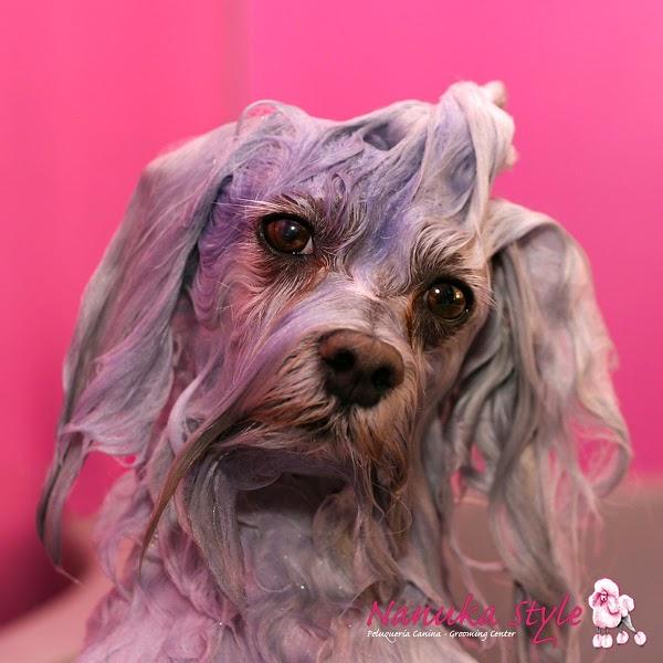 Imagen 41 cafe renacimiento foto