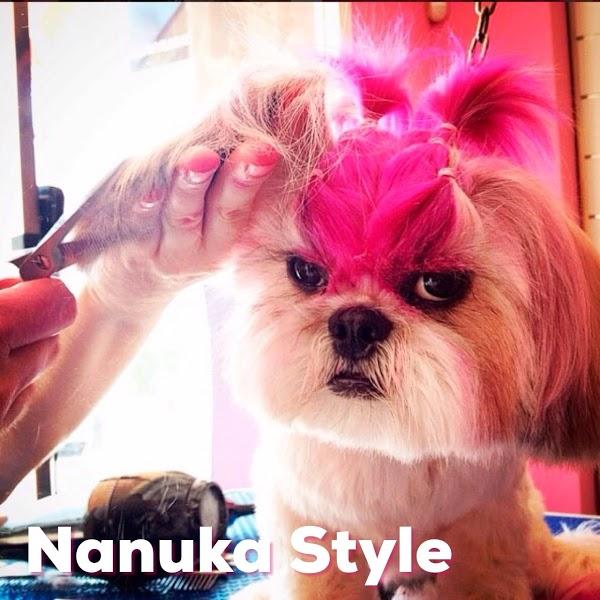 Imagen 42 cafe renacimiento foto