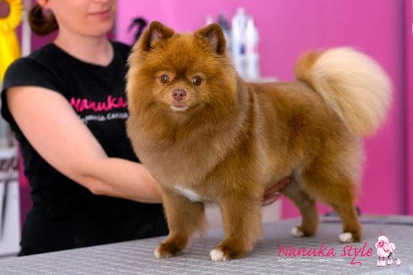 Imagen 6 cafe renacimiento foto