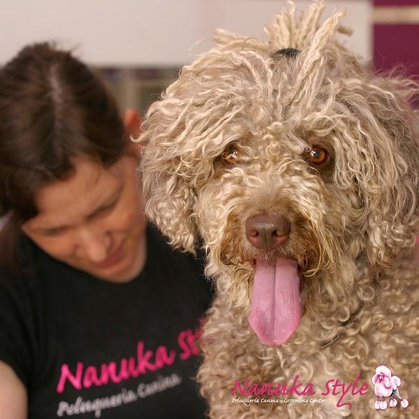 Imagen 8 cafe renacimiento foto