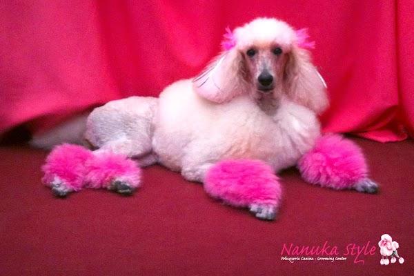 Imagen 9 cafe renacimiento foto