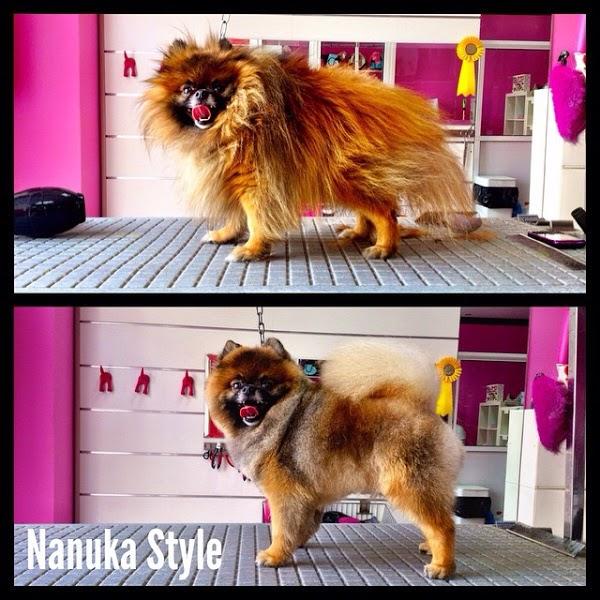 Imagen 96 cafe renacimiento foto