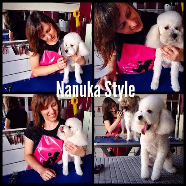 Imagen 97 cafe renacimiento foto