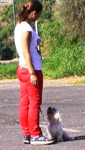 Imagen 13 D' Negro Barber Shop foto