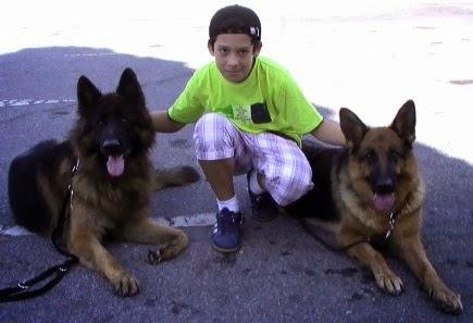 Imagen 19 D' Negro Barber Shop foto