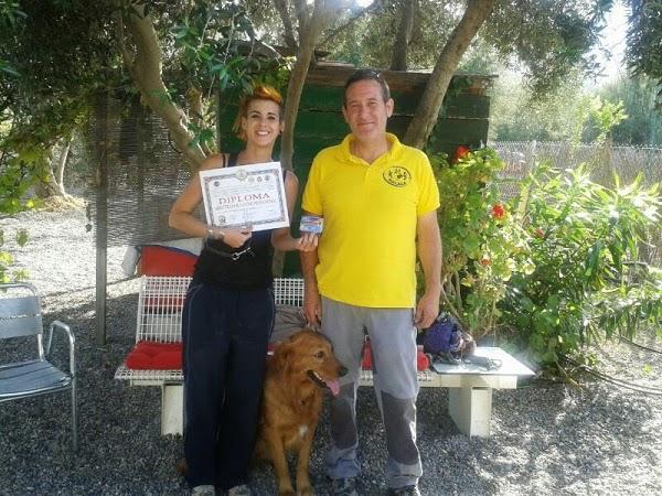 Imagen 20 D' Negro Barber Shop foto