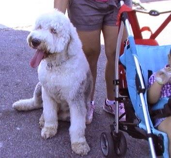 Imagen 24 D' Negro Barber Shop foto