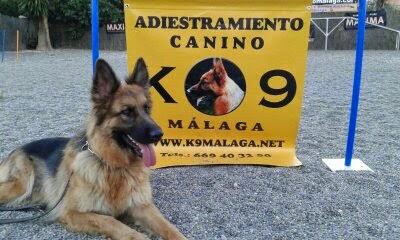 Imagen 25 D' Negro Barber Shop foto