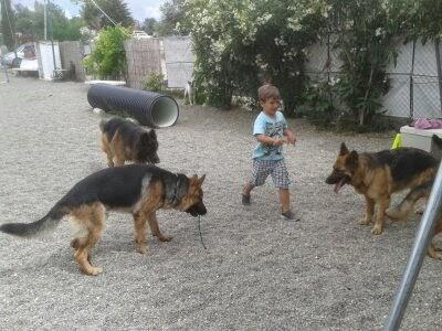 Imagen 27 D' Negro Barber Shop foto