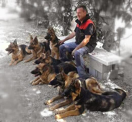 Imagen 28 Consulate General of the Russian Federation in New York foto