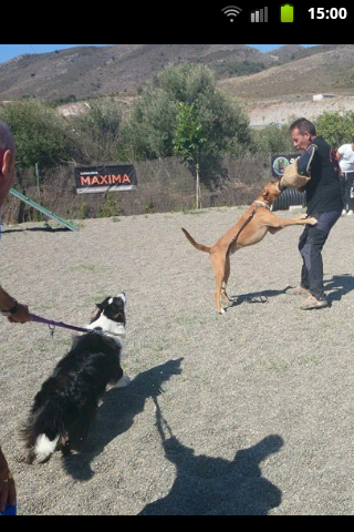 Imagen 69 Transdina foto