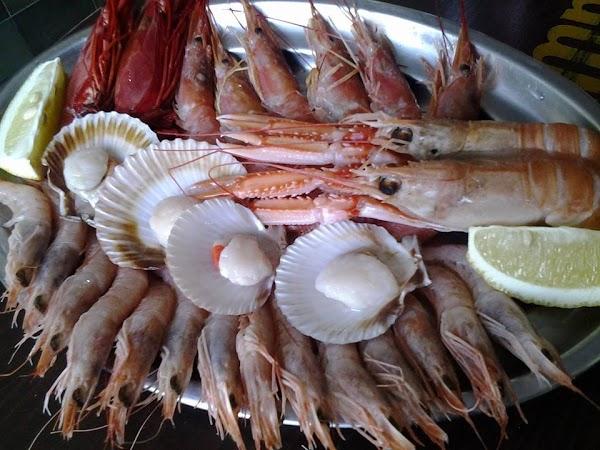 Imagen 31 Jesus Flores Sewing Machine Co foto