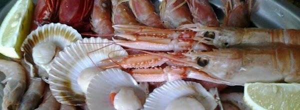 Imagen 40 Jesus Flores Sewing Machine Co foto