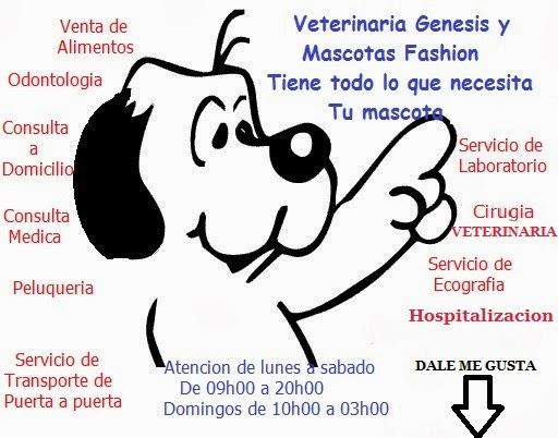 Imagen 4 Democracia foto