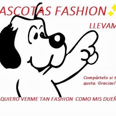 Imagen 8 Democracia foto