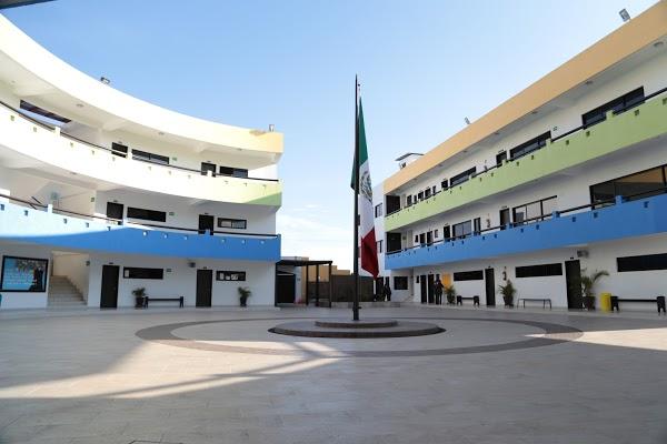 Imagen 71 El Viejo Mesón foto