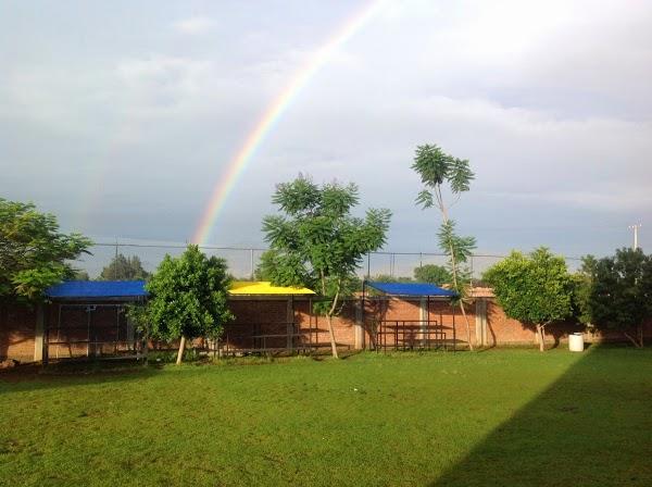 Imagen 75 El Viejo Mesón foto