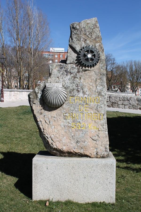 Imagen 31 Mesón Navarro I foto