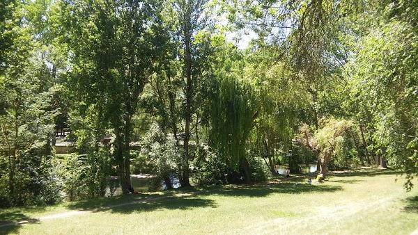 Imagen 32 Mesón Navarro I foto