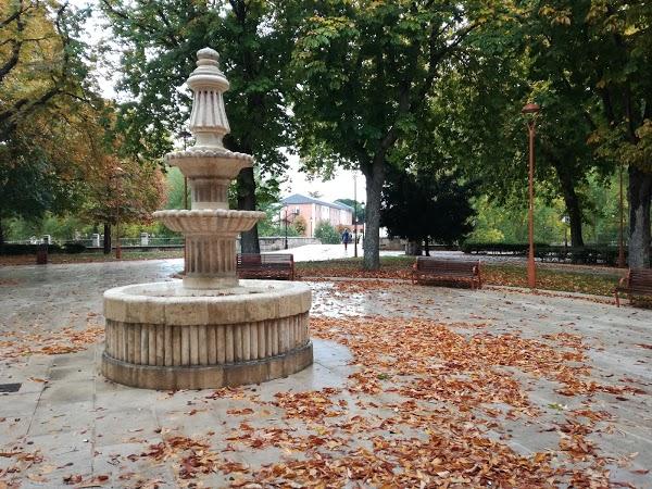 Imagen 33 Mesón Navarro I foto