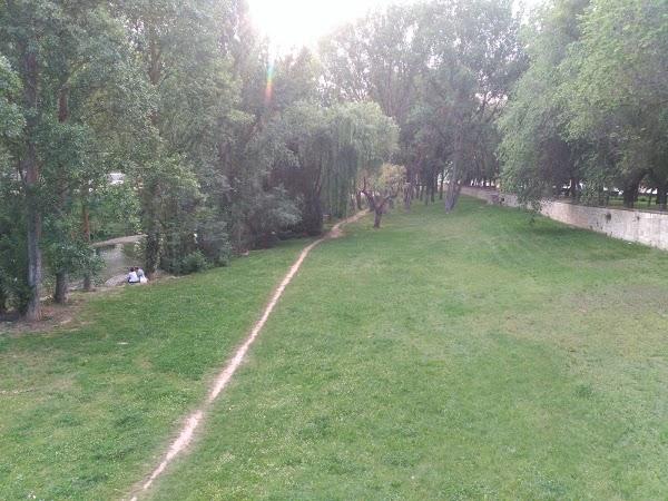 Imagen 35 Mesón Navarro I foto