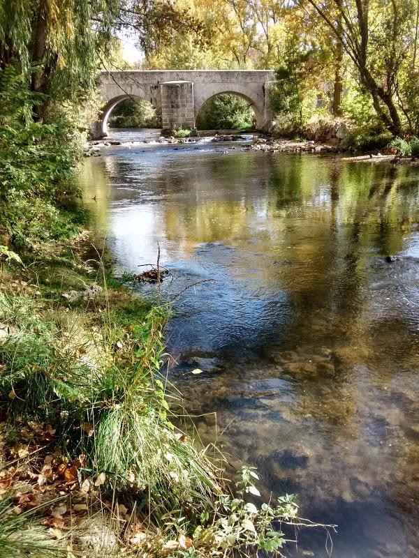 Imagen 39 Mesón Navarro I foto