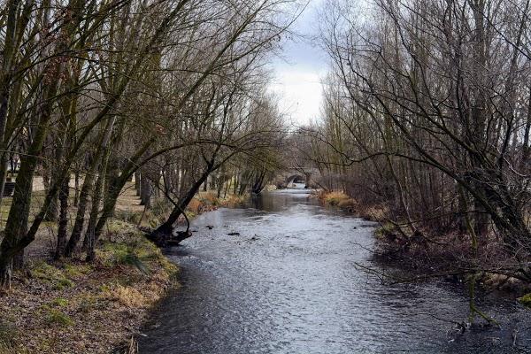 Imagen 40 Mesón Navarro I foto