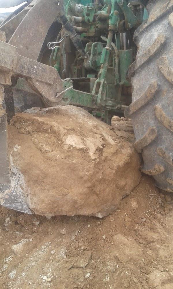 Imagen 42 Mesón Navarro I foto