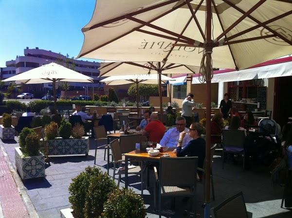 Imagen 19 Döner Kebab Poniente foto