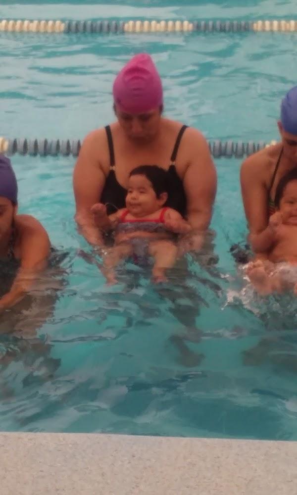 Imagen 12 Megacal foto