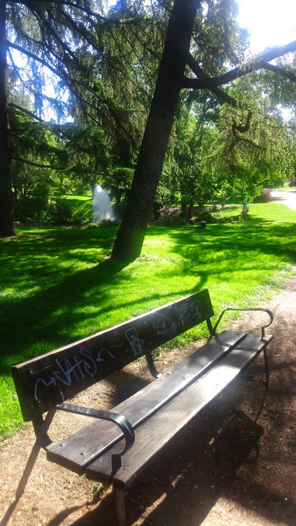 Imagen 15 Megacal foto