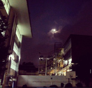 Imagen 8 Sayer Santuario foto