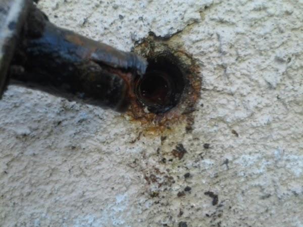 Imagen 10 Carpintería Residencial foto